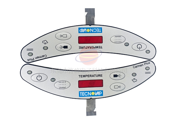 Instrument type membrane switch